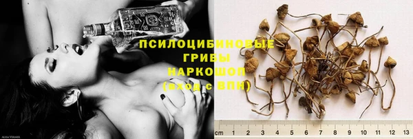 первитин Дмитров