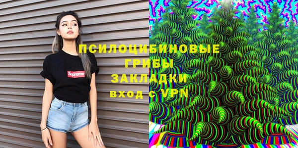 ГАЛЛЮЦИНОГЕННЫЕ ГРИБЫ Дмитровск