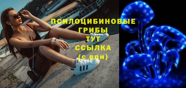метамфетамин Дмитриев