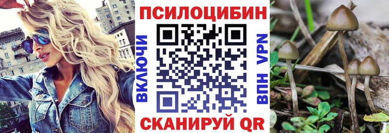 Галлюциногенные грибы Magic Shrooms  наркотики  кракен как зайти  Таганрог 